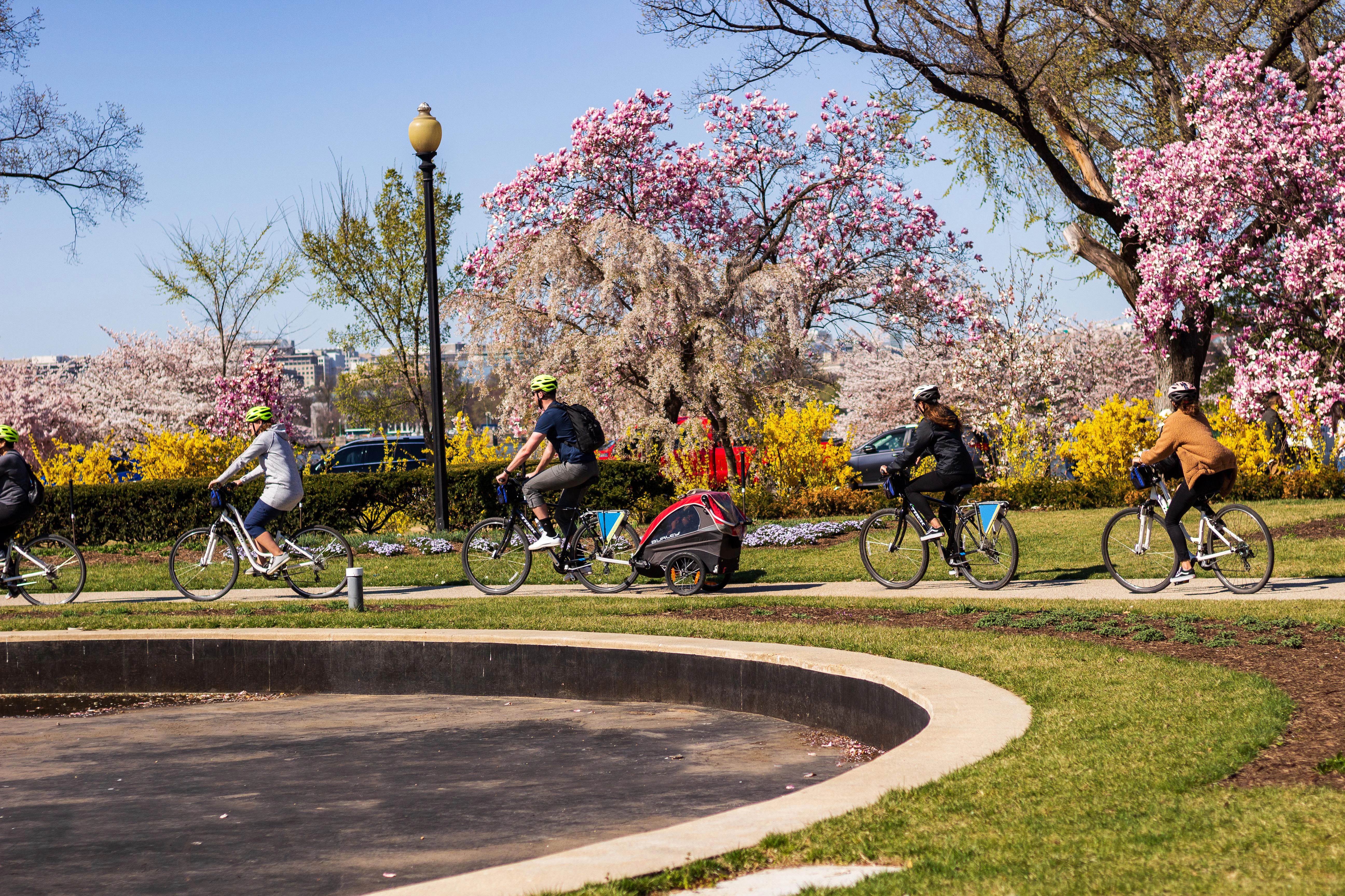 Washington DC: 3-Hr Monuments & Memorials Guided Bike Tour
