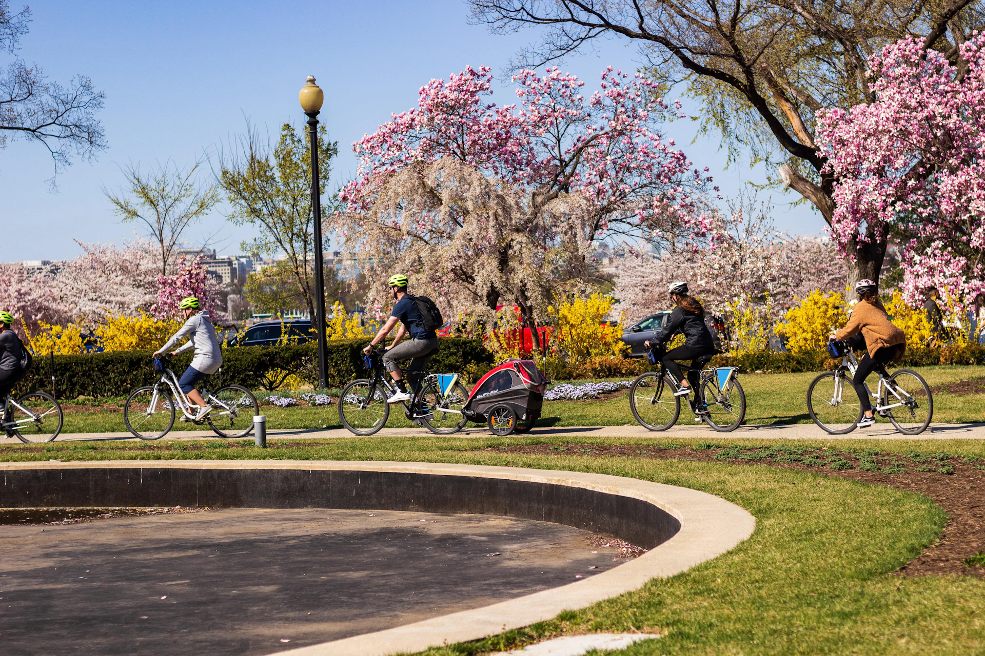 A group of cyclists, including one pulling a trailer, rides through a park with blooming trees and a lamppost on a sunny day.