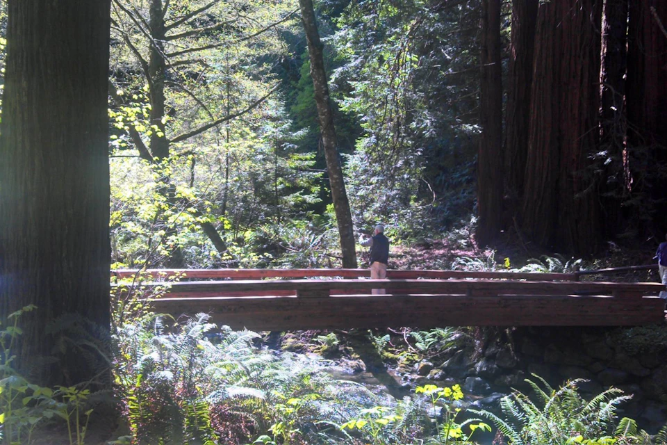 Muir Woods National Monument