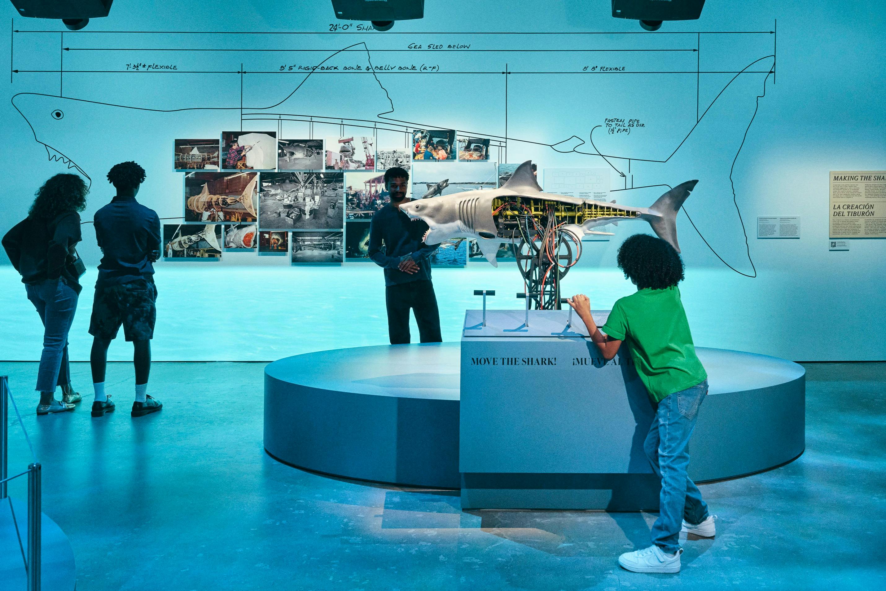 メカニカルシャークモデルを展示した展示。人々は壁に写真と図を描いた部屋で観察します。
