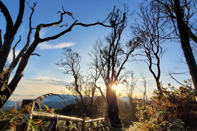 A scenic view of the sun setting behind leafless trees on a hillside, with a wooden fence in the foreground.