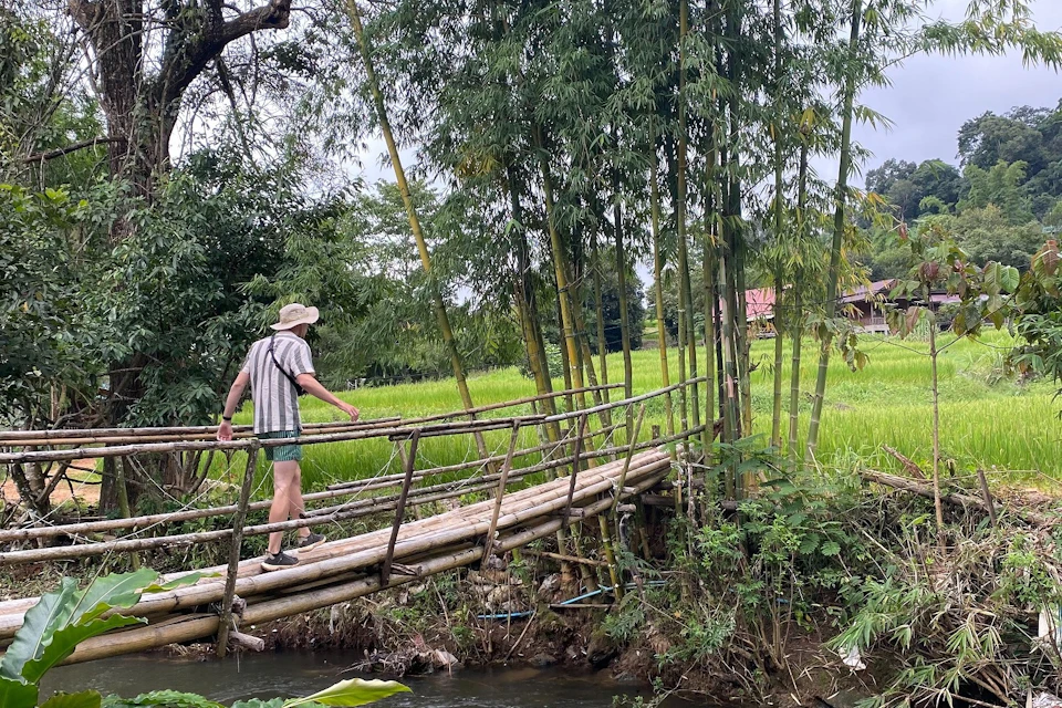Rice field