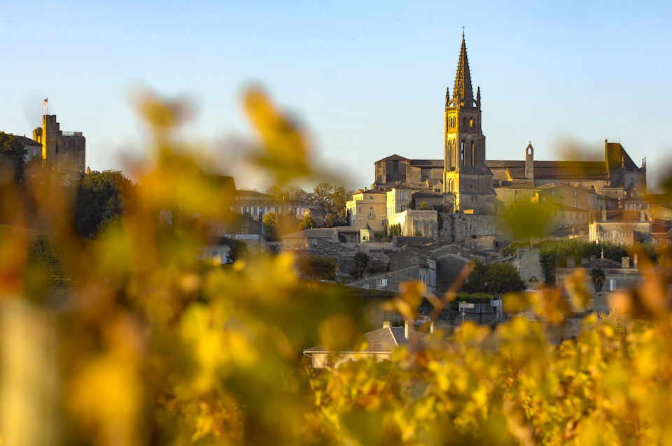 A historic town with a tall church spire, seen through blurred leaves in the foreground, bathed in warm sunlight.