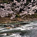 Promenade en bateau sur la rivière Hozugawa