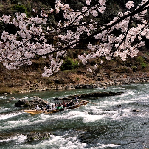 Paseo en barco privado por el río Hozugawa