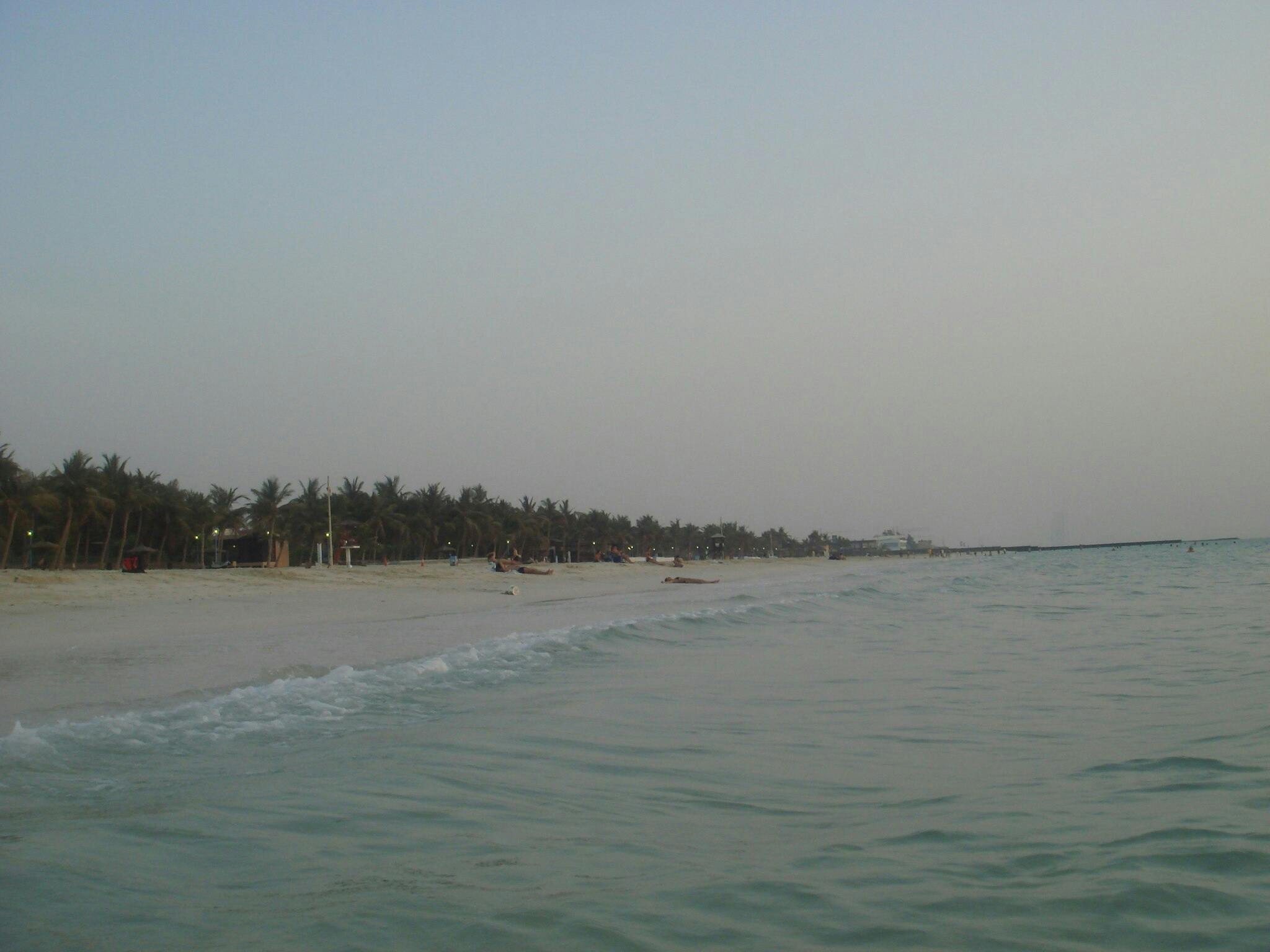 波が静かなヤシの木に囲まれたビーチで、夕暮れ時には遠くの人々が砂の上でリラックスしています。 静かで穏やかな雰囲気。