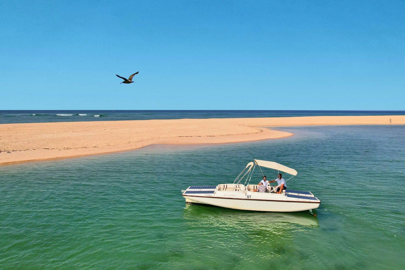 Ria Formosa: Ecological Boat Tour with Bird Watching from Faro