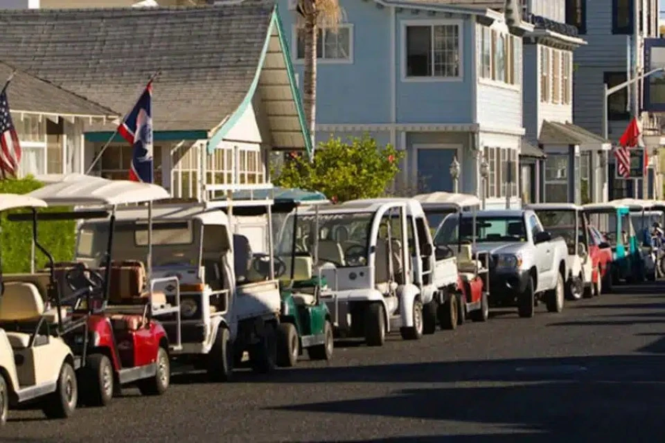 Daytrip to Catalina Island with Hotel Transportation