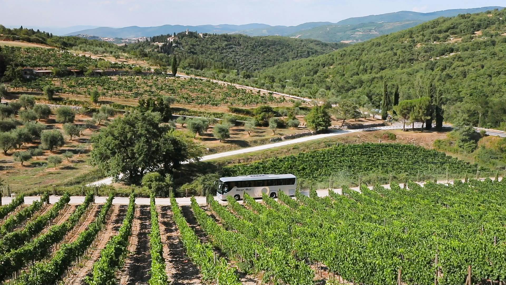 晴れた空の下、緑豊かなブドウ畑と起伏のある丘の中を、ツアーバスが道路に沿って進みます。 遠くの村が見えます。