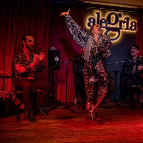 Alegría Málaga: Flamenco Show - Photo 4
