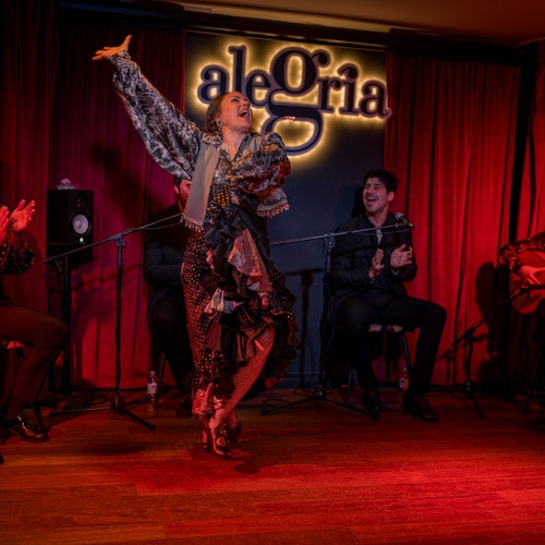 Alegría Málaga: Espectáculo Flamenco