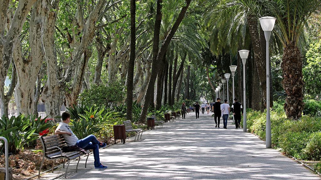 Paseo España in Málaga