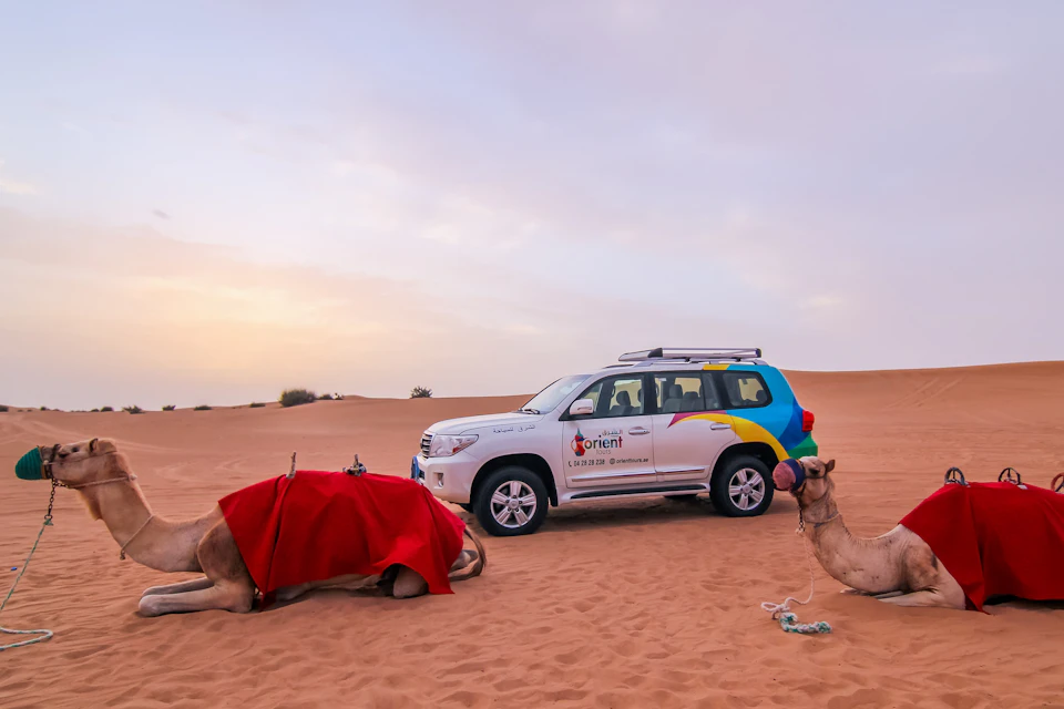 Desert Wonder: Afternoon Desert Safari with Camel Farm, Sanboading, BBQ Dinner