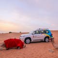 Meraviglia del deserto: Safari pomeridiano nel deserto con fattoria dei cammelli, Sanboading, cena con barbecue