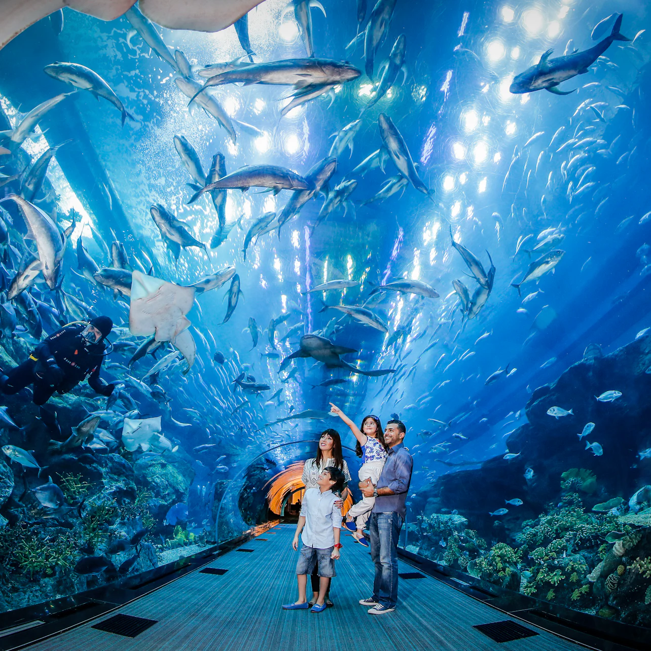 Dubai Aquarium & Burj Khalifa: Level 124/125 Ticket in Dubai – Tiqets