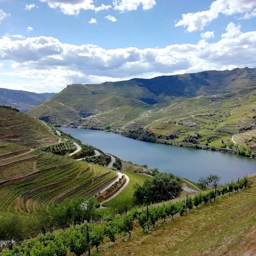 Valle del Duero: Excursión desde Oporto con crucero + Cata de vino de Oporto