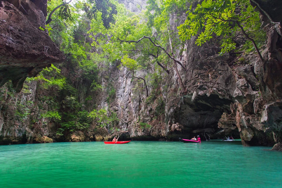 Paddle peacefully through the mangroves of Hong Island.