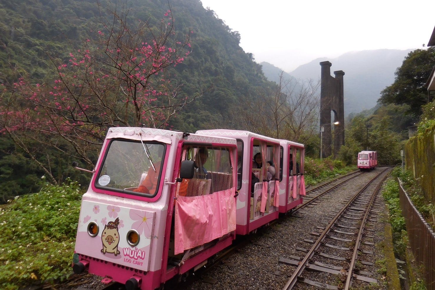 Wulai Scenic Train: One-Way Ticket