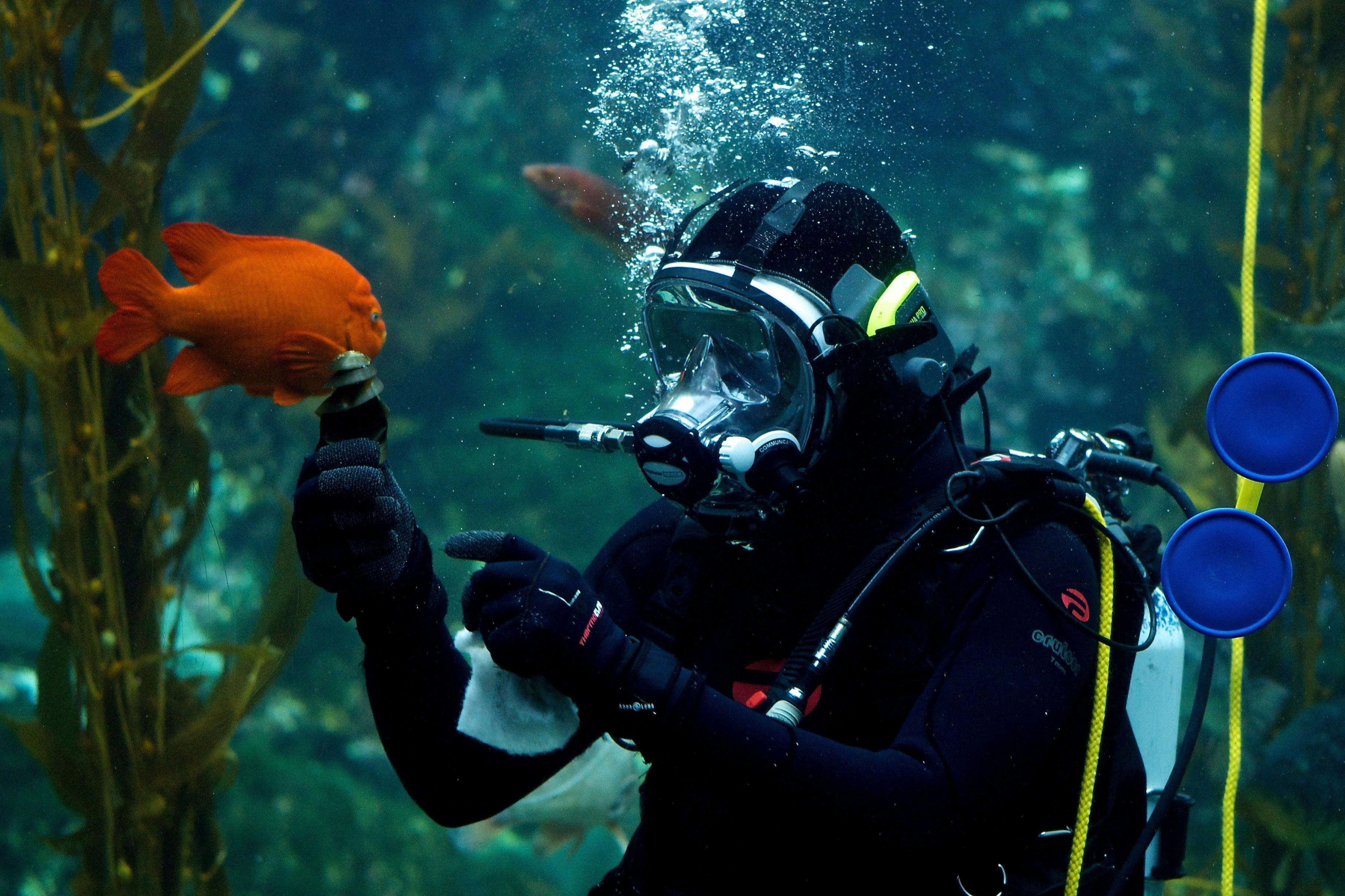 샌디에고 시티패스