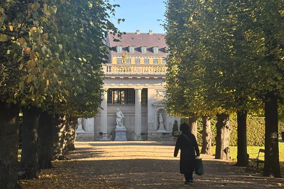 Person walking down a tree-lined path towards a grand building with statues and columns on a sunny day.