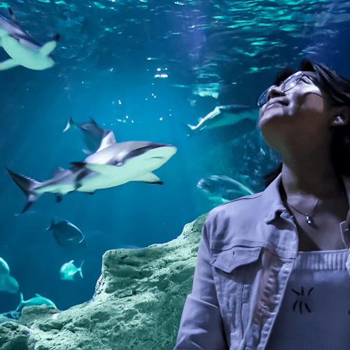 Michin Aquarium Guadalajara: Entry Ticket