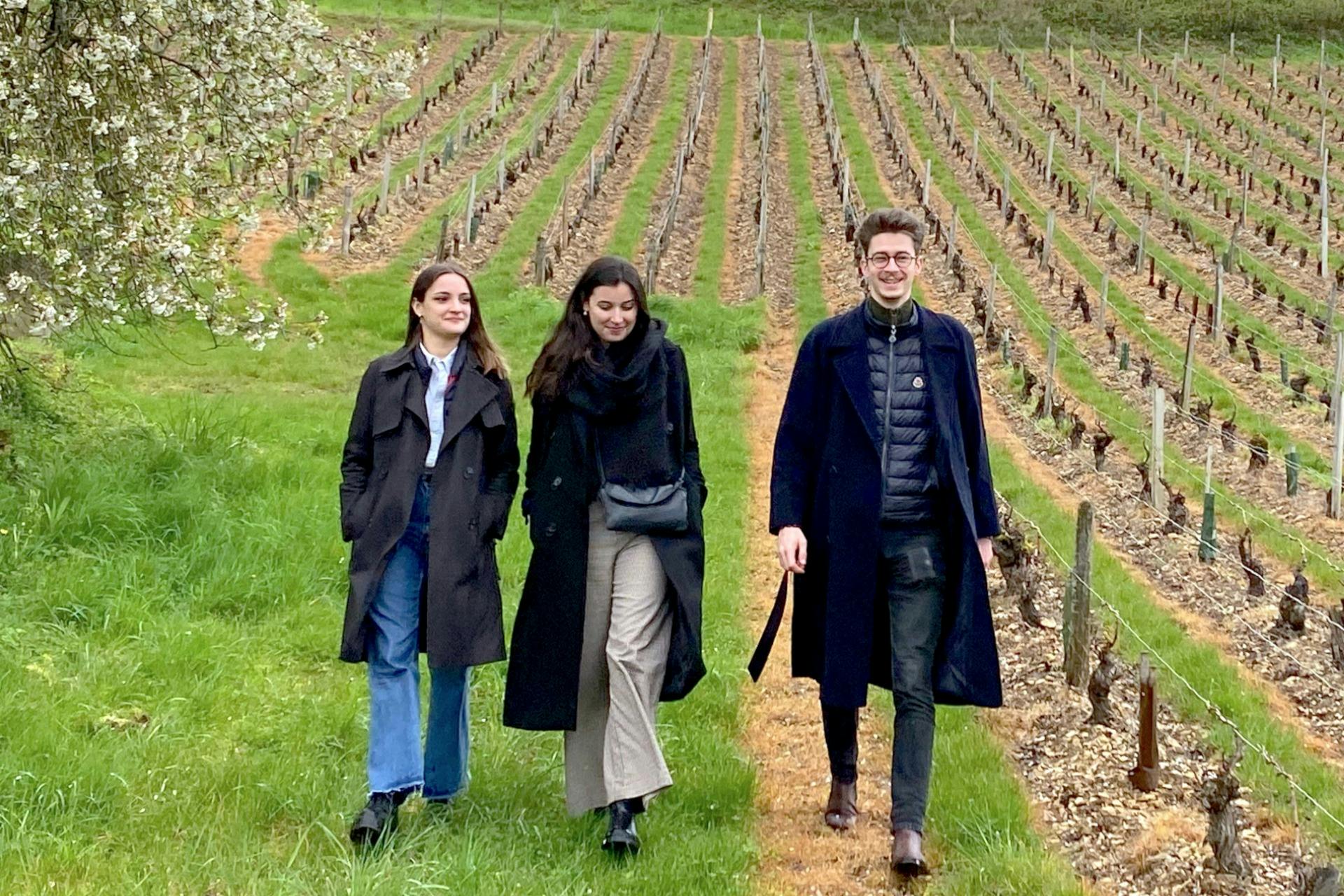 Το κείμενο που παρέχεται δεν είναι μια γλώσσα, είναι ένα σημείο στίξης (τελεία ή τελεία).