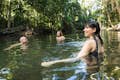 Zoetwater zwemmen in het hart van het Daintree regenwoud