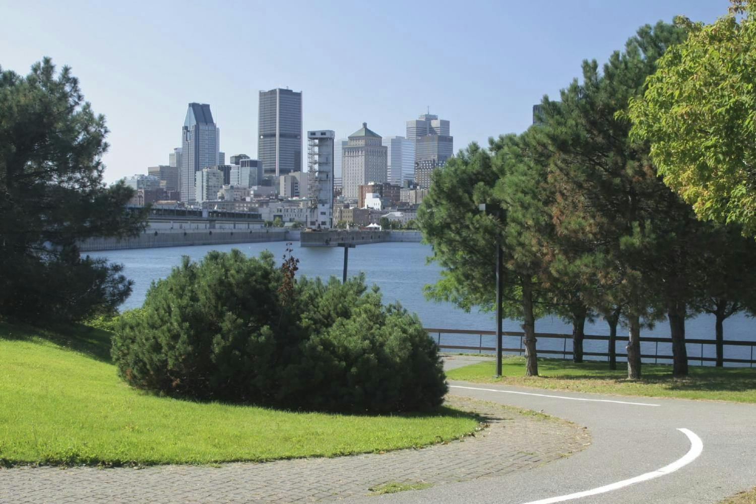 Вид на город с высокими зданиями через реку, обрамленными зелеными деревьями и изогнутой пешеходной дорожкой на переднем плане.