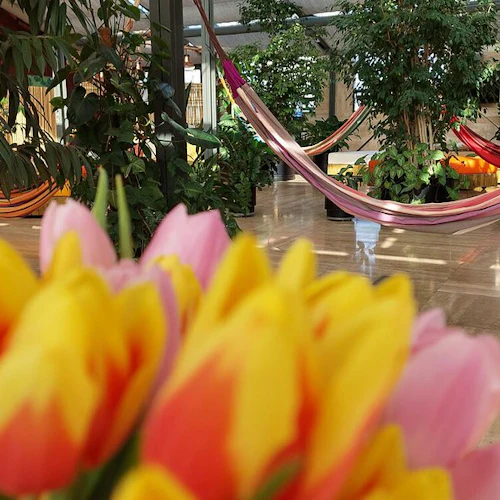 Széchenyi Spa: Entry + Palm House with Snack and Cocktail - Photo 3