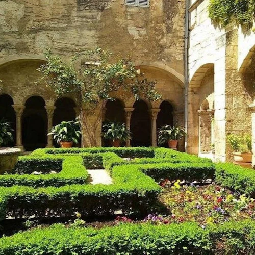Provence: Arles Guided Van Gogh Tour + Saint-Paul de Mausole Entry - Photo 5