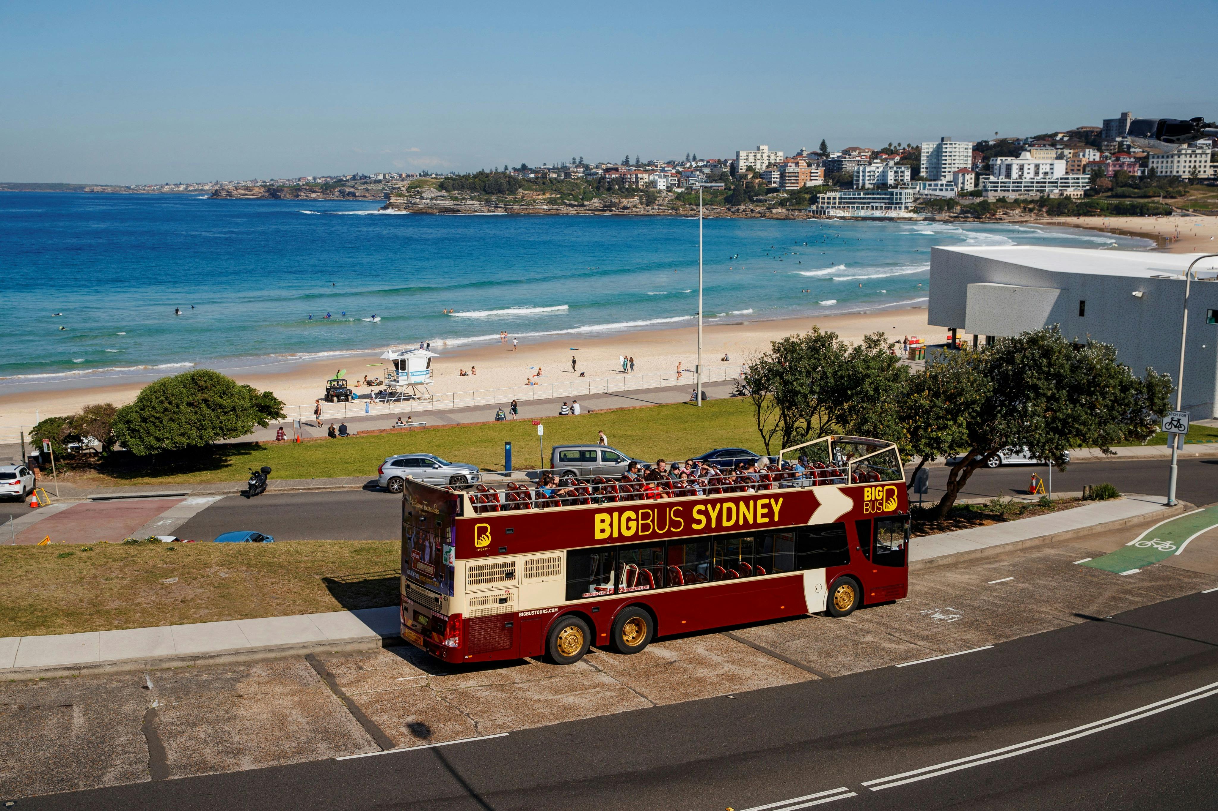 Un autobús vermell de dos pisos amb l'etiqueta "Big Bus Sydney" va aparcar prop d'una platja amb gent, mar i edificis al fons.