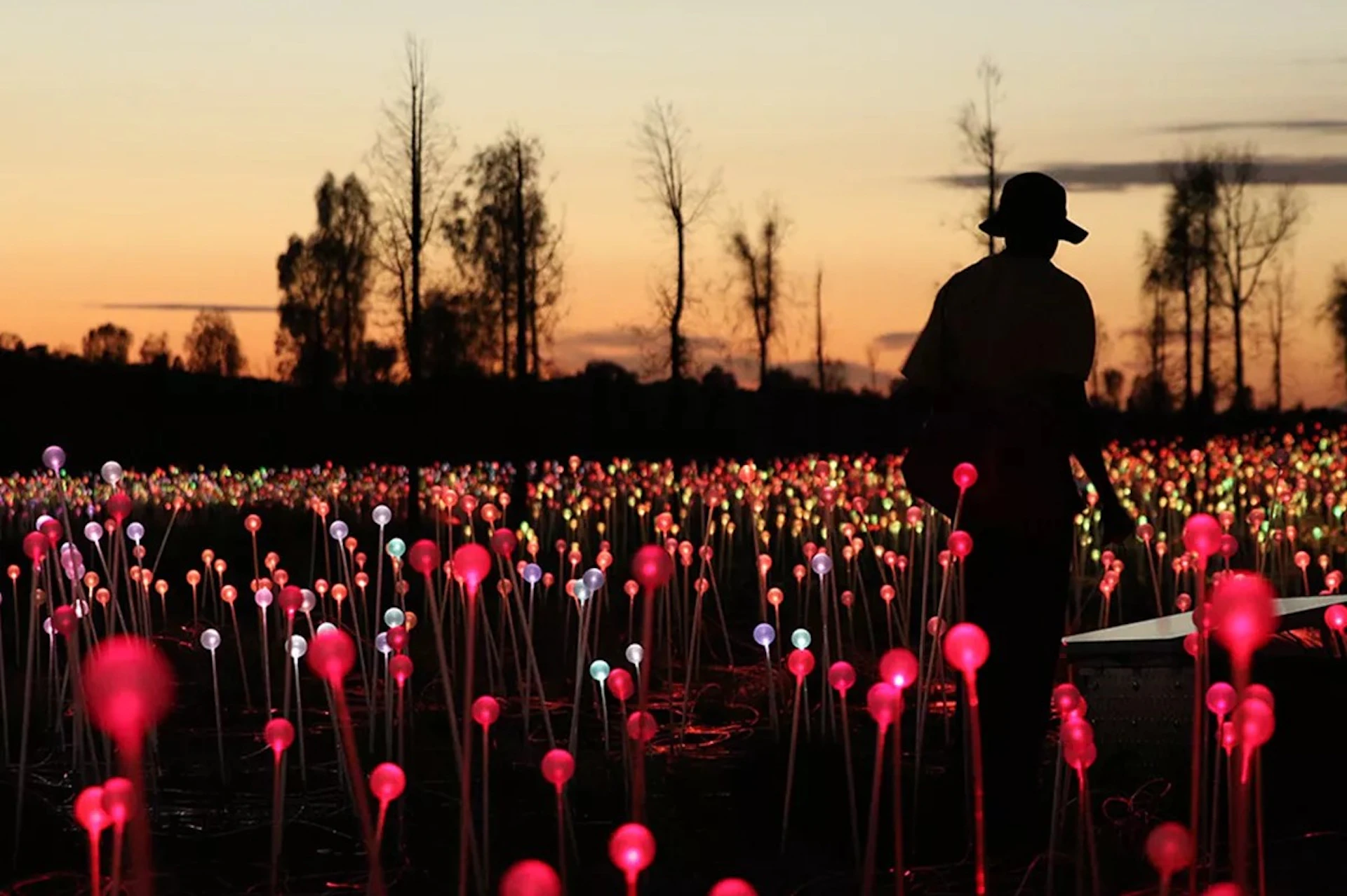 A person walks through a field of multicolored glowing lights at dusk, with silhouetted trees in the background.