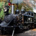 Puffing Billy και Healesville Sanctuary Scenic Bus Tour
