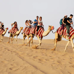 Abu Dhabi Desert Safari: Morning 3