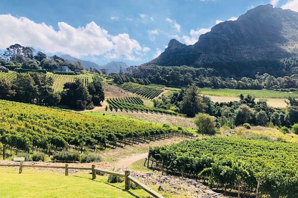 Beautiful Constantia