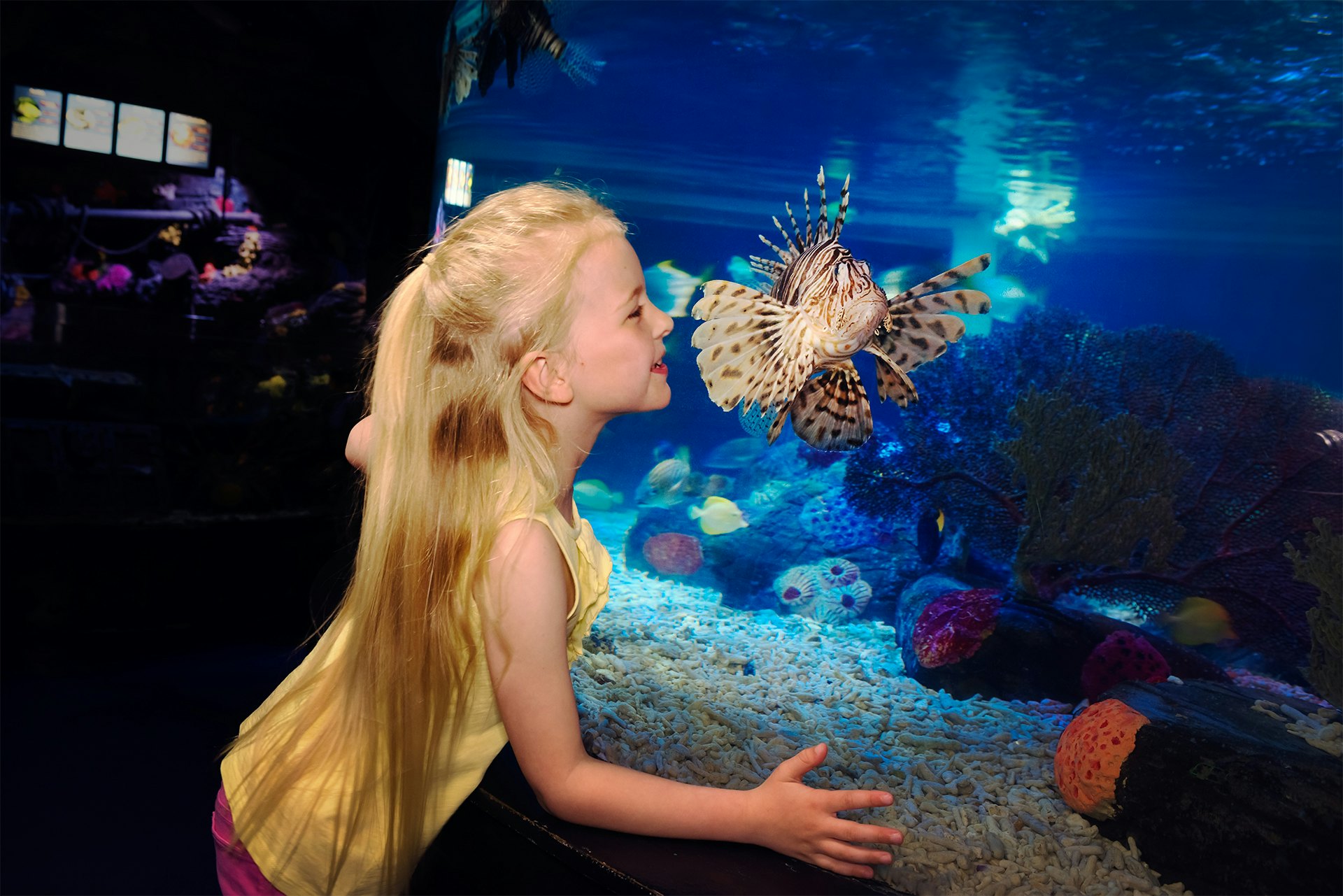 SEA LIFE Scheveningen: bilhete de entrada