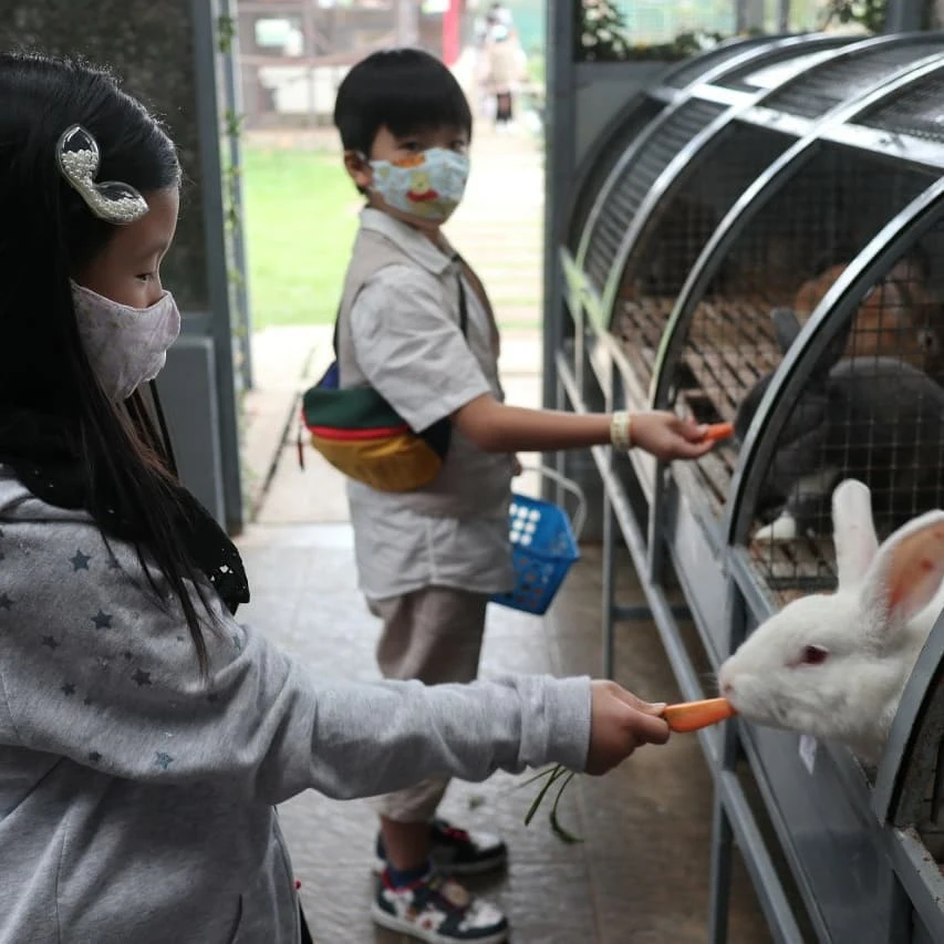 Jendela Alam Bandung: Fun Adventure Package with Admission Ticket