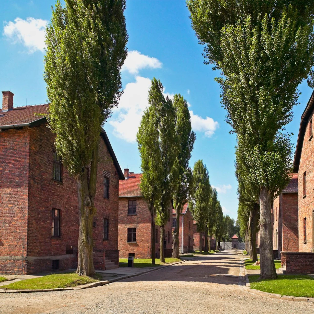 Auschwitz-Birkenau: Guided Tour + Transport in Krakow – Tiqets