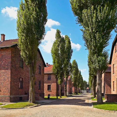 Auschwitz-Birkenau: Guided Tour + Transport - Photo 4