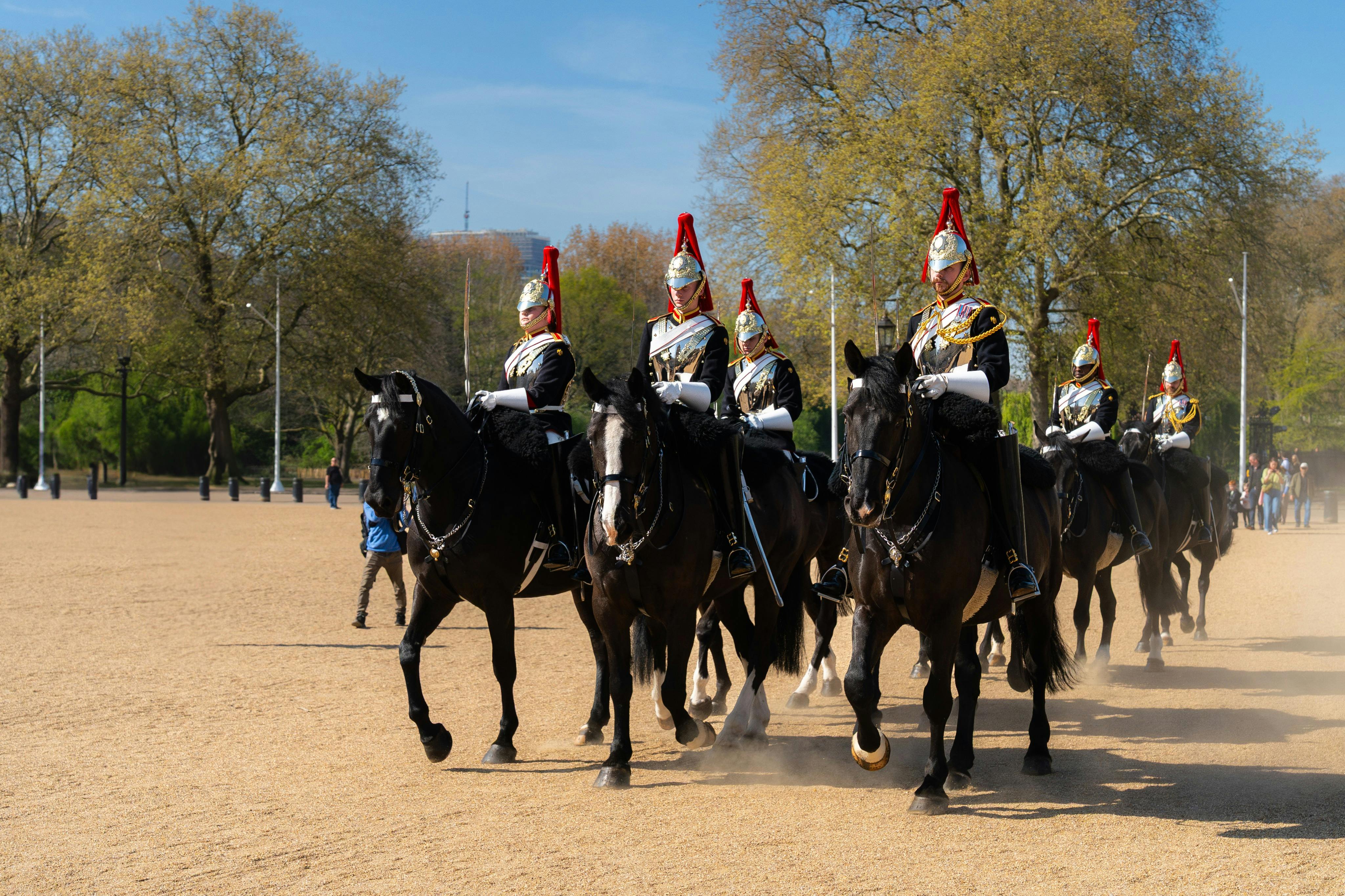 En grupp ceremonivakter på hästryggen, med röda plommonhjälmar, i ett öppet område med träd i bakgrunden.
