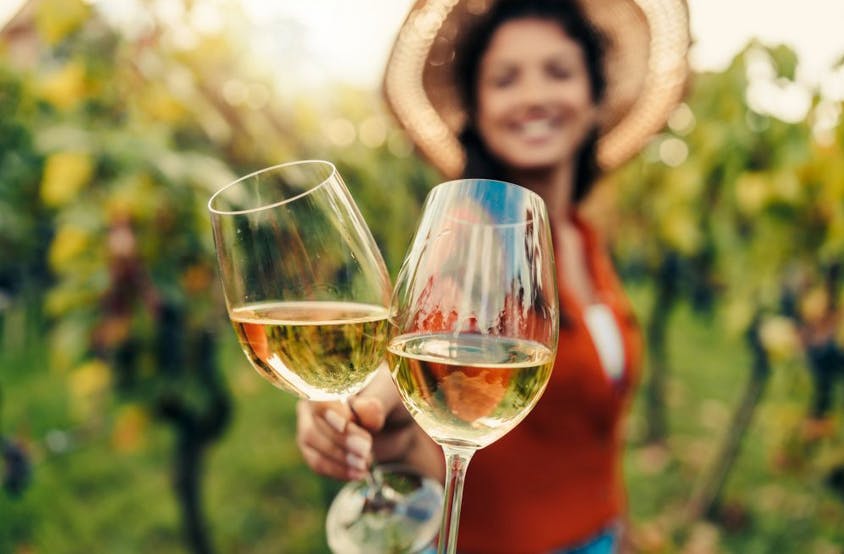 San Francisco Woods And Wine Tour