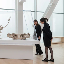 Musée National des Beaux-Arts du Québec (MNBAQ): General Admission 2