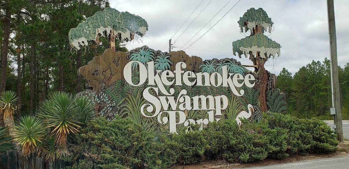 Parque do pântano de Okefenokee: Bilhete de entrada + Tour guiado