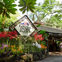 Eingang zum Nationalen Orchideengarten in Singapur mit einem markanten Schild, umgeben von bunten Orchideen und üppigem Grün.