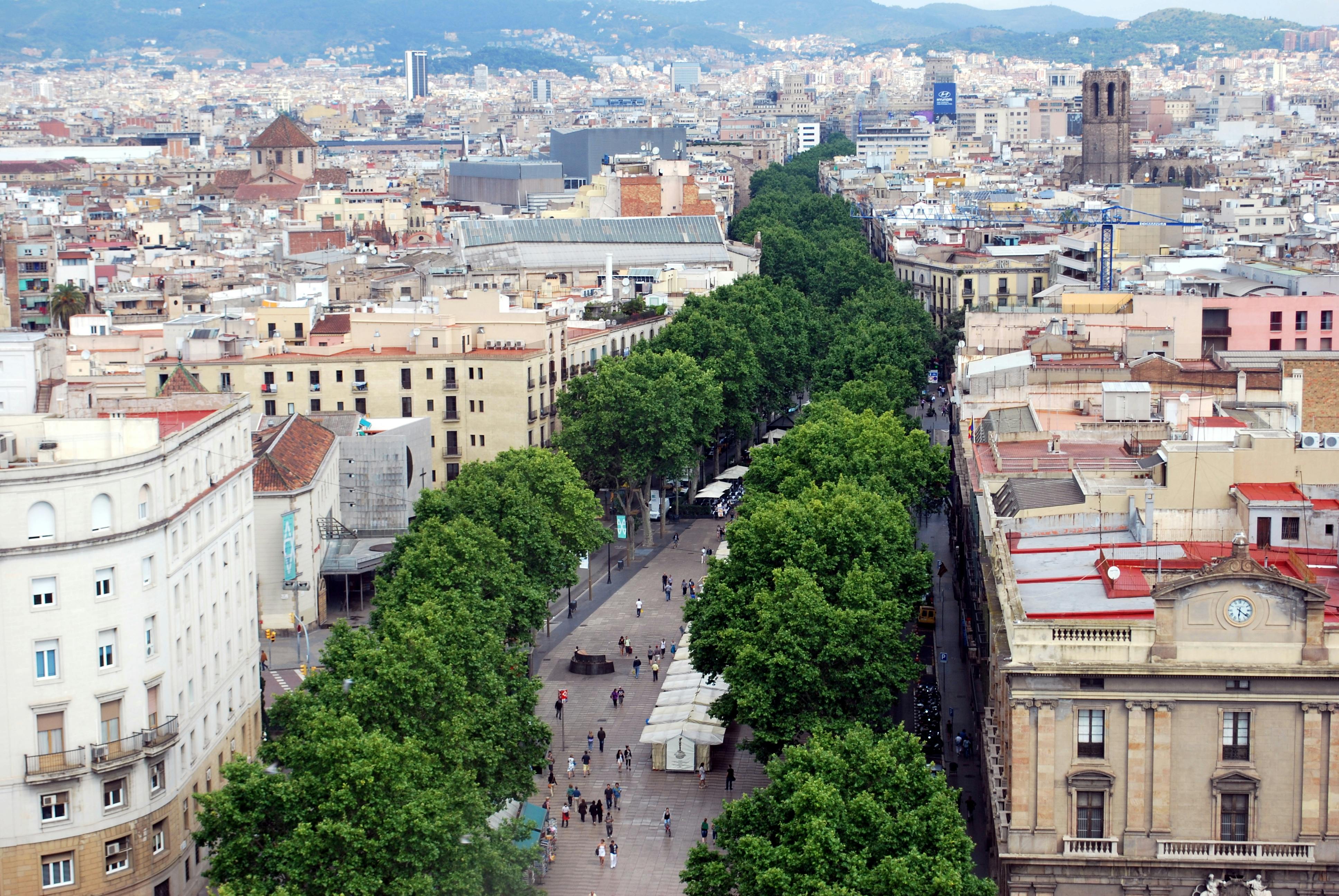 Vista sopraelevata di un viale alberato di una città con persone che camminano. Edifici e montagne lontane sullo sfondo.