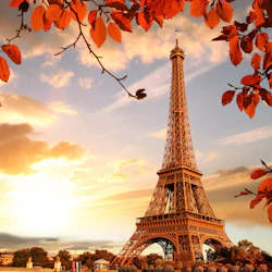 Paris: Roundtrip by Bus 2