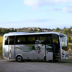Chianti Region: Day Trip from Florence + Wine Estate Visit 4