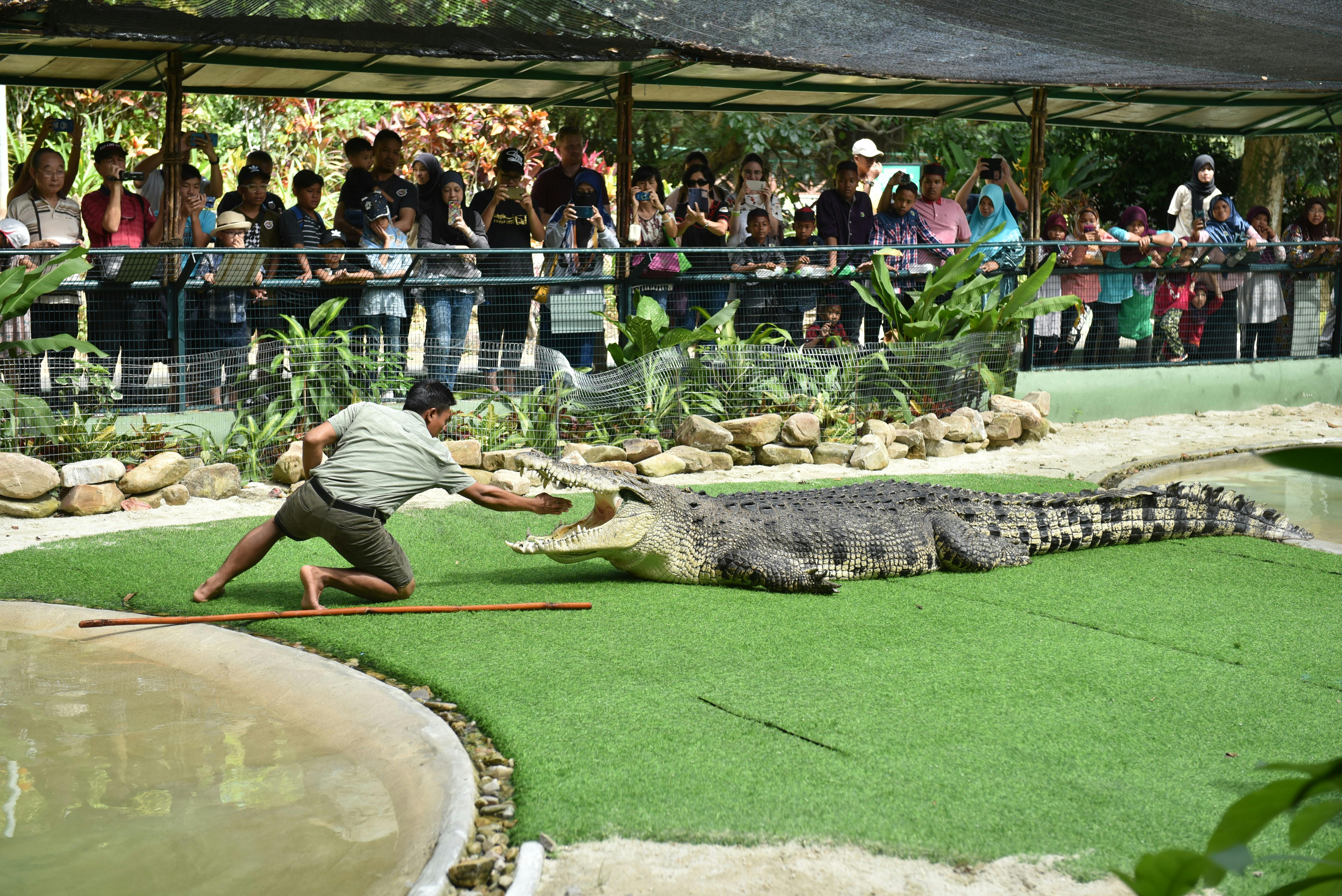 Crocodile Adventureland: Biglietti