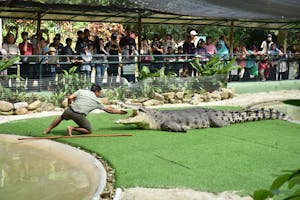 Crocodile Adventureland: Tickets