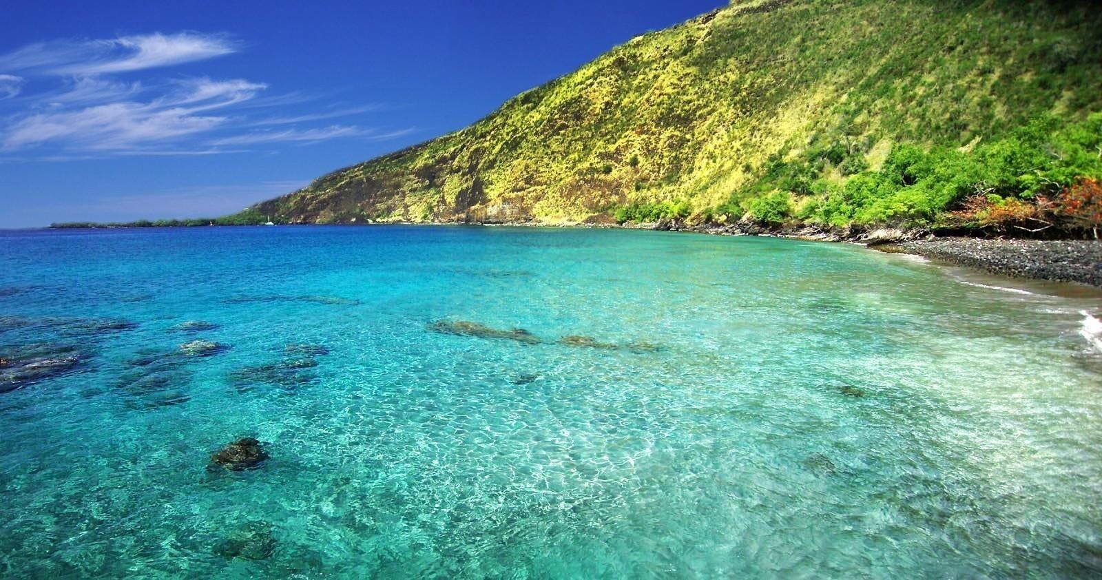 Baía de Kealakekua e Capitão Cook: Aventura de mergulho com snorkel - Photo 5
